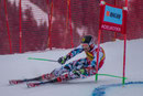 Marcel Hirscher (A) - Platz 2