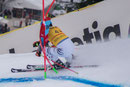 Felix Neureuther (D)