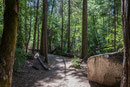 Noch eine "Spaziergang-wanderung" ... 1.6 Km flach zum "Mirror Lake"