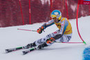 Felix Neureuther (D)