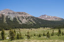 Auf dem Weg aus dem Yosemite Park, nach dem Tioga Pass ändert sich die Landschaft schlagartig ...