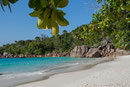 Strand Anse Lazio