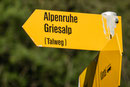 Ab "Kiental - Ramslauenen" immer dem Talweg entlang bis nach Tschingel am Ende des Tschingelsee. Dort beginnt der steile Teil hinauf zur Griesalp.