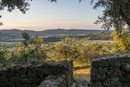 Massa Marittima - Podere Acquarello