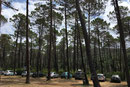 Punta Ala - Badestrand beim Pinienwald