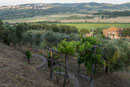 Massa Marittima - Podere Acquarello