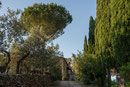 Massa Marittima - Podere Acquarello