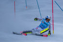 Linus Strasser (D)