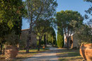 Massa Marittima - Podere Acquarello