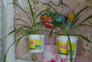 Goritzy - Blumenschmuck in der guten Stube