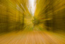 Herbstimpressionen, Steiger Erfurt, 10.2012
