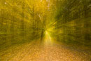Herbstimpressionen, Steiger Erfurt, 10.2012