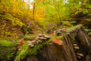 Landgrafenschlucht Eisenach, 10.2012