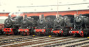 Dampfloks vorm Siegener Lokschuppen: 93 230 vom VM Dresden (derzeit Dieringhausen); 38 1772, 57 3088 und 82 008 von DB-Museum und 50 1724 (alle Museum Siegen). Die Maschinen trotzen dem siegerländer Wetter (Aufnahme: Margit Kemper, Siegen)