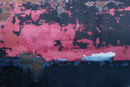 Rost und Rot, 2008