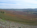 Vignoble Champenois