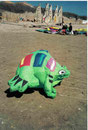 Erster Frosch von Wiebike