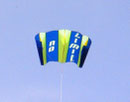 Div. Sleds 2 Meter