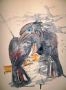 Afrikan.Hornraben,Tusche+Aquarellstift,40x30,2011