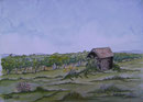 Weingärten/Günselsdorf,Tusche+Aquarell,25x35,1998