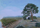 Weingartenkeller/Günselsdorf,Tusche+Aquarell,25x35,1998
