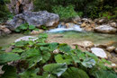 Gole del Salinello