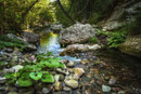 Rio Garrafo