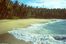 Traumstrand neben Palm Paradise in Tangalle