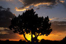 Abendstimmung