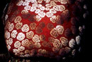 Culcita novaeguineae