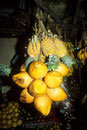 King Coconut Trinknüsse und Ananas comosus