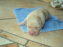 Angel: 14:25 Uhr, 510 g
