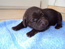 Amy: 13:07 Uhr, 510 g