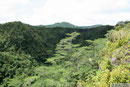Savaii - Mt. Matavanu