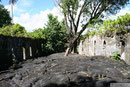 Savaii - Saleaula Lava Field