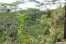 Savaii - Mt. Matavanu