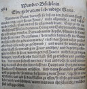 SCHNURR, Balthasar Kochrezepte wie die gebratene lebendige Gans, einen Capaun ohne Feuer zu kochen,