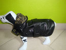 Manteau pour chiens