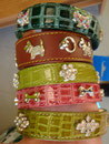 Colliers pour chiens