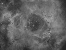 Kernbereich des Rosettennebel" (NGC 2244) im Sternbild Einhorn, ASI6200MMpro am TEC 140mm APO, WS240GT, 15x600sec Ha