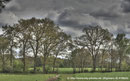 "Wald, Wiesen und Wolken“ am 14.05.2010, Canon EOS 1000D, F=55mm, f/20, ISO 100, 3 x RAW (EV: -2,0,+2)