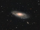 Messier 106 im Sternbild  Canes Venatici, TEC 140mm APO auf WS240GT, Atik 383L+, 17x1200sec Luminanz, 60x600sec RGB mit ALCCD6c pro