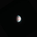 Venus in Falschfarben am 04.06.2010, Celestron C9.25 auf CGEM, DMK21AF04.AS, 2x APO Barlow,  F=4700mm, f/20, Falschfarbenkomposit: R=IR, G=UV, B=UV, IR: 4000/5000 Frames, UV: 2500/5000 Frames