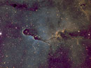 Der "Elefantenrüssel" (IC1396) im Sternbild Kepheus am 20.04.2013 in der HST-Palette, TEC 140mm APO mit TEC 4"-Flattener auf WS240GT, Atik 383 L+, R: 15x1200sec Baader SII-Filter, G: 12x1200sec Baader H-Alpha-Filter, B: 12x1200sec Baader OIII-Filter