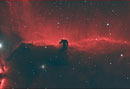 Pferdekopfnebel (IC434) im Sternbild Orion in Bi-Color, 140mm TEC, WS240GT, TS 2,5"-Flattener, Atik 383+, Baader 7nm Ha-Filter, Baader 8,5nm OIII-Filter, 12x1200sec + 12x1200sec OIII