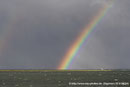"Regenbogen“ am 16.10.2010, Canon EOS 1000D