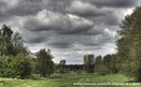 "Wald und Wiesen“ am 14.05.2010, Canon EOS 1000D, F=55mm, f/20, ISO 100, 3 x RAW (EV: -2,0,+2)