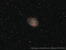 Krebsnebel (M1) im Sternbild Stier am 16.02.2010, Celestron C9.25 (CGEM) mit Focalreducer, Canon EOS 450Da, F=1.480mm, f/6.3, 12x5min (H-alpha) + 10x5min (IDAS-LP2) bei ISO 800, Luminanz (H-alpha+R) + RHaGB, Guiding mit Lacerta M-GEN an InED70