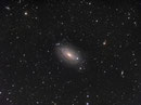 Sonnenblumen-Galaxie (M63) im Sternbild Jagdhunde im März 2013, TEC 140mm APO auf WS240GT, Atik 383 L+, 25x1200sec (Luminanz), jeweis 6x1200sec RGB