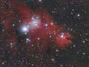 NGC 2264 "Christmas Tree Cluster" im Sternbild Einhorn, TEC 140mm APO auf WS240GT, Atik 383L+, 13x1200sec Luminanz, 3x4x1200sec RGB
